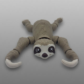 Cute sloth