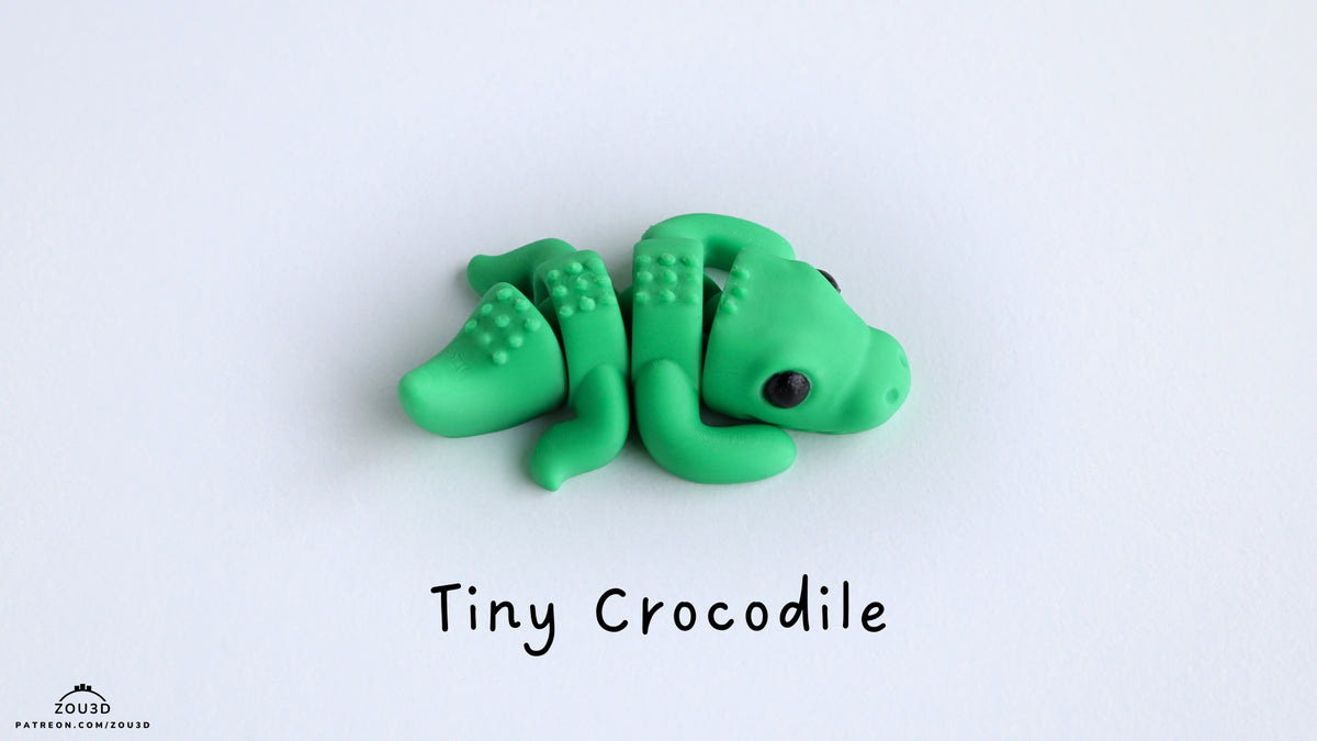 Baby Crocodile