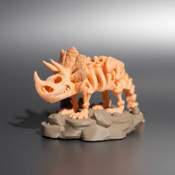 Skeleton Triceratops with Stand