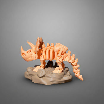 Skeleton Triceratops with Stand