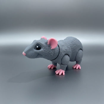 Rat